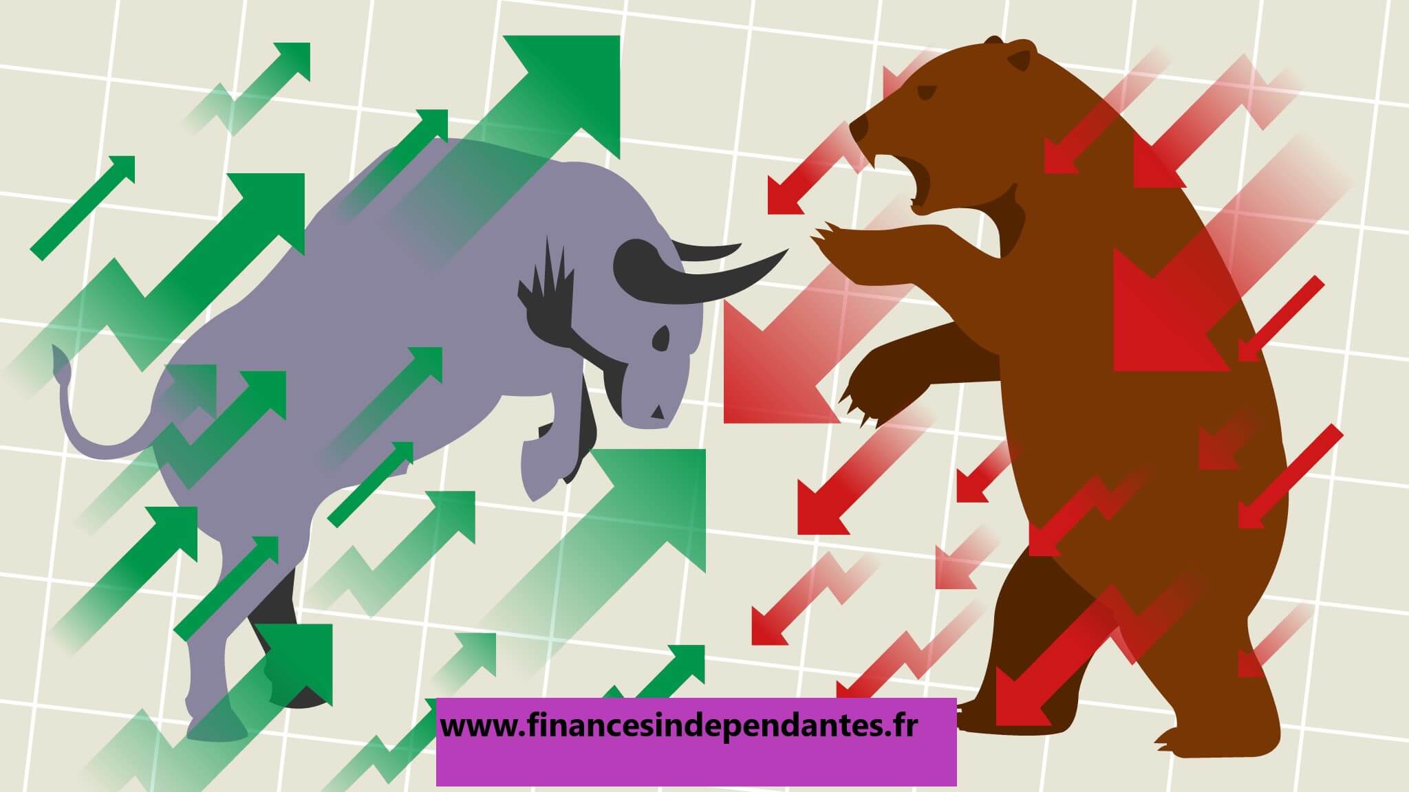 Bear & bull